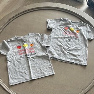 Kids' Gray Graphic T-Shirt - Friendly Animal Design